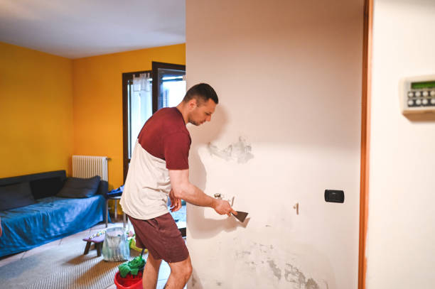 Best Commercial Mold Removal  in Ives Estates, FL